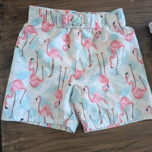 Flamingo Print Swim  Shorts Rugged Butts Size 6